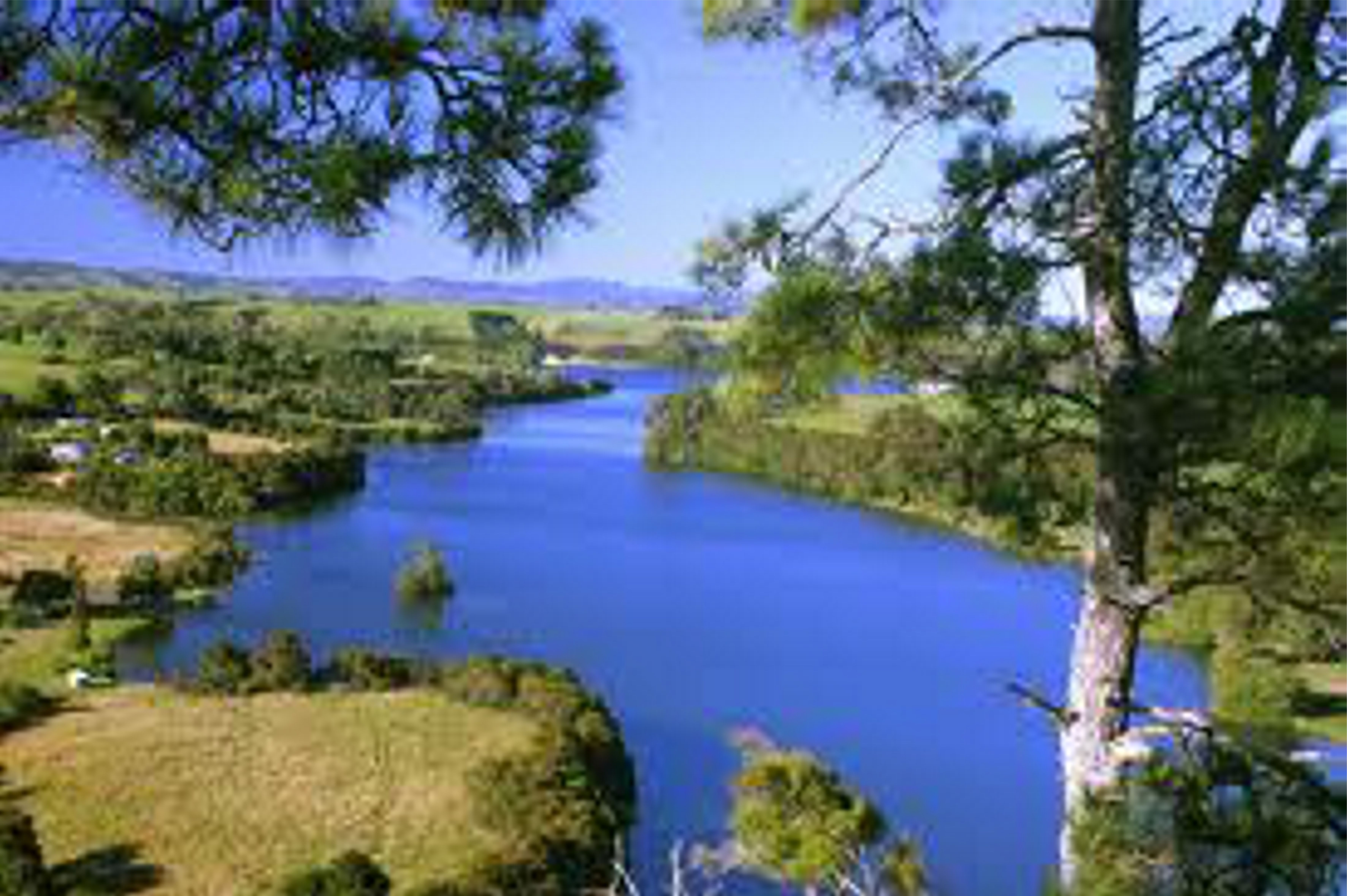 Waikato River