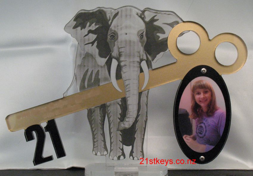 Elephant Picture 21st Key