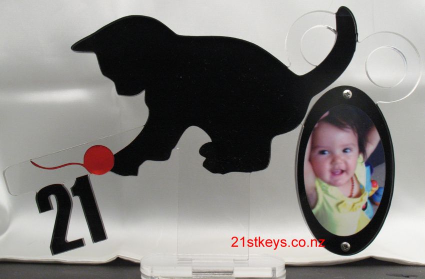 Kitten Picture 21st Key